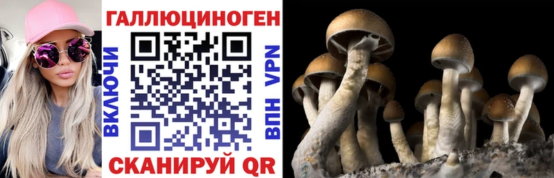 даркнет сайт Вяземский Галлюциногенные грибы мицелий
